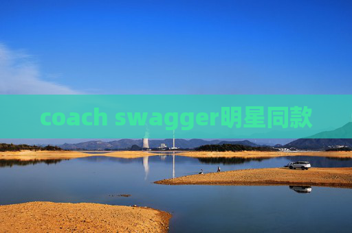 coach swagger明星同款